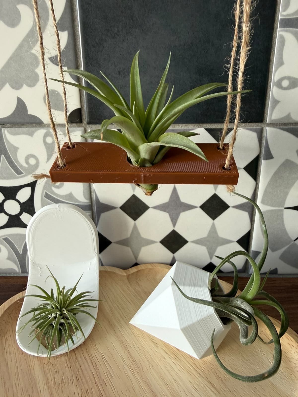 3D Printed Air Plant Starter Kit – Care Set for Tillandsia Plants